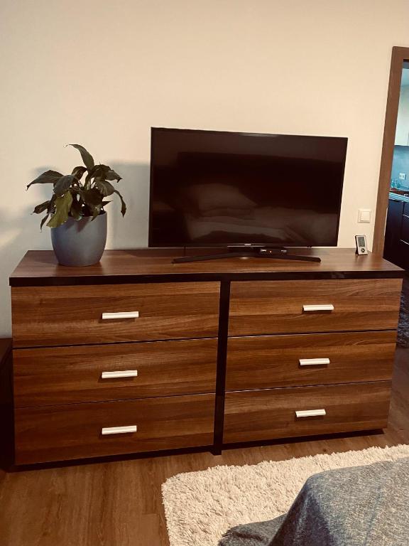 TV a/nebo společenská místnost v ubytování Ferienwohnung Berghausen