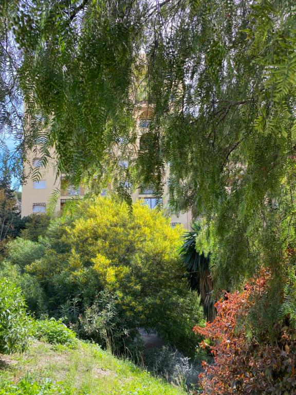 Vonkajšia záhrada v ubytovaní Apartamento con vistas en Mariote