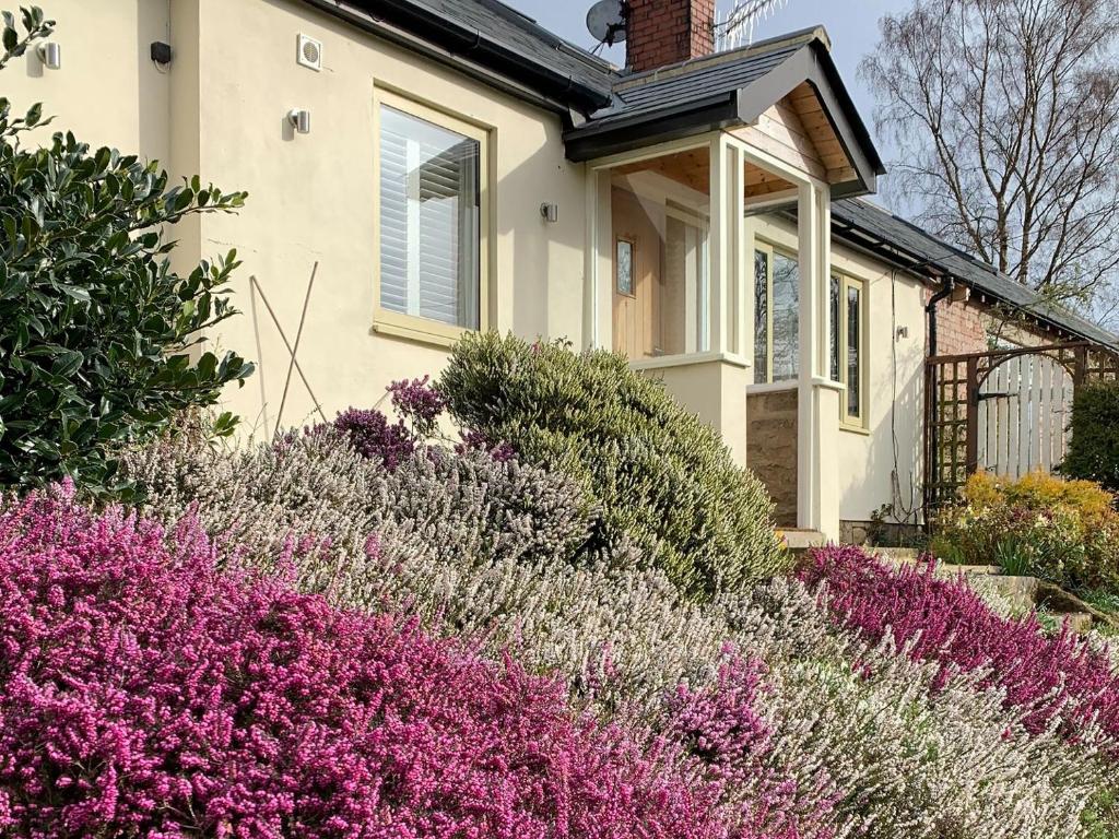 a house with purple flowers in front of it at Heather Lea in Summer Bridge