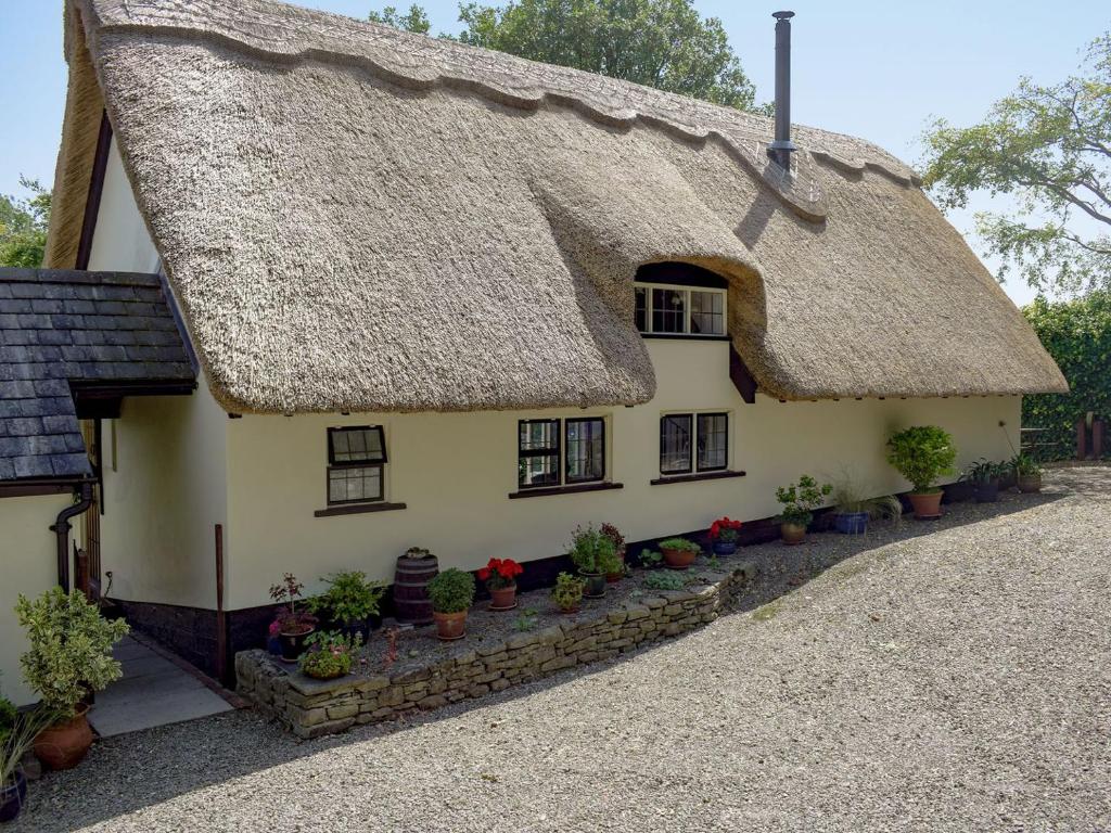 a thatched house with potted plants in front of it at The Cottage in Lane to Richards Castle