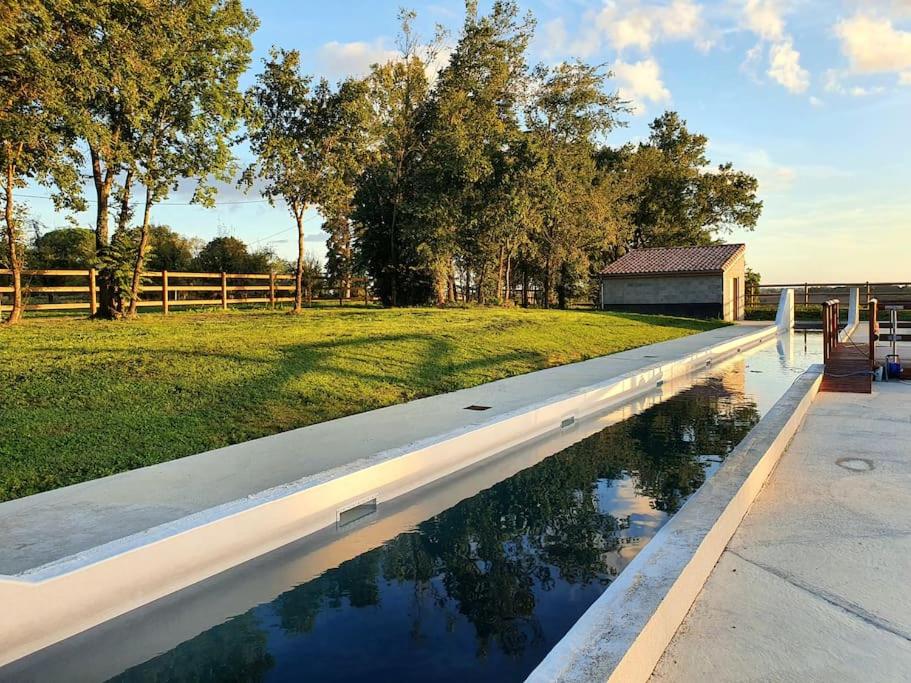 Bazén v ubytování Cottage chaleureux dans un Domaine d'exception nebo v jeho okolí