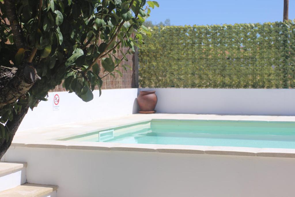 una piscina en un patio trasero con una planta en Casa do Sossego, en Igrejinha