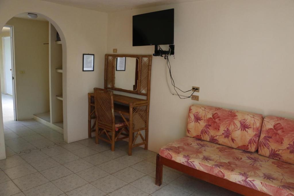 TV a/nebo společenská místnost v ubytování Hotel Carrizal Spa