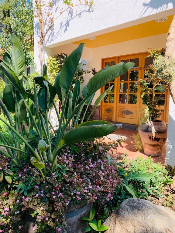 Zahrada ubytování KURALEMU Casa de Campo