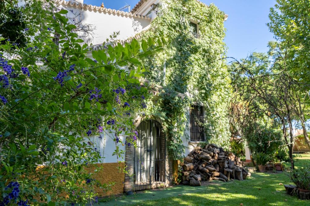 A garden outside El jardín del botánico