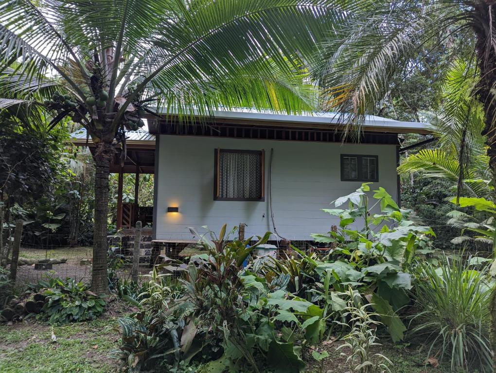 寇可利斯的住宿－Casita Bribri at Margarita Hills，前面有棕榈树的房子