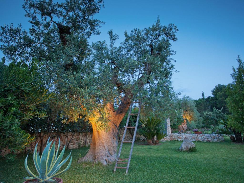 Zahrada ubytování B&B Rosa podere 28