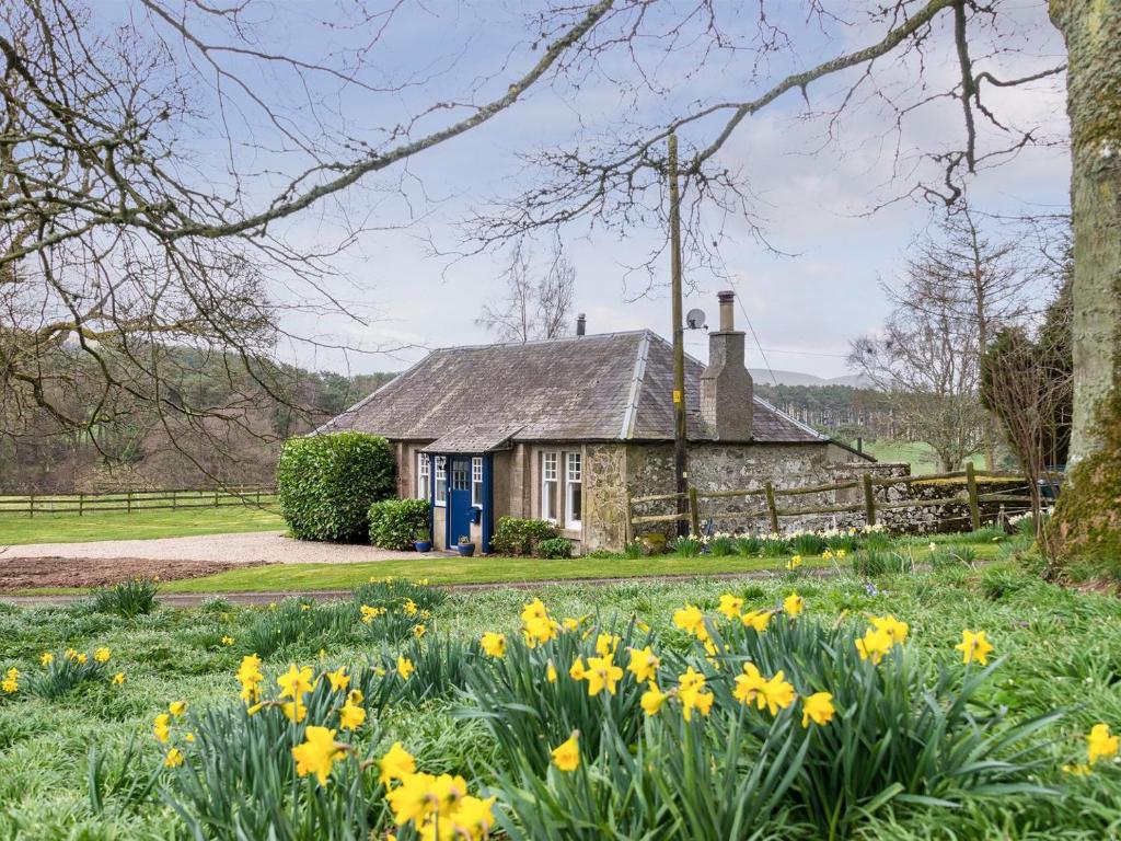 a cottage with yellow flowers in front of it at Edmonston Lodge in Elsrickle