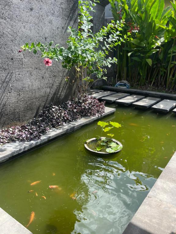 Private suite in a kids friendly big shared villa in Canggu