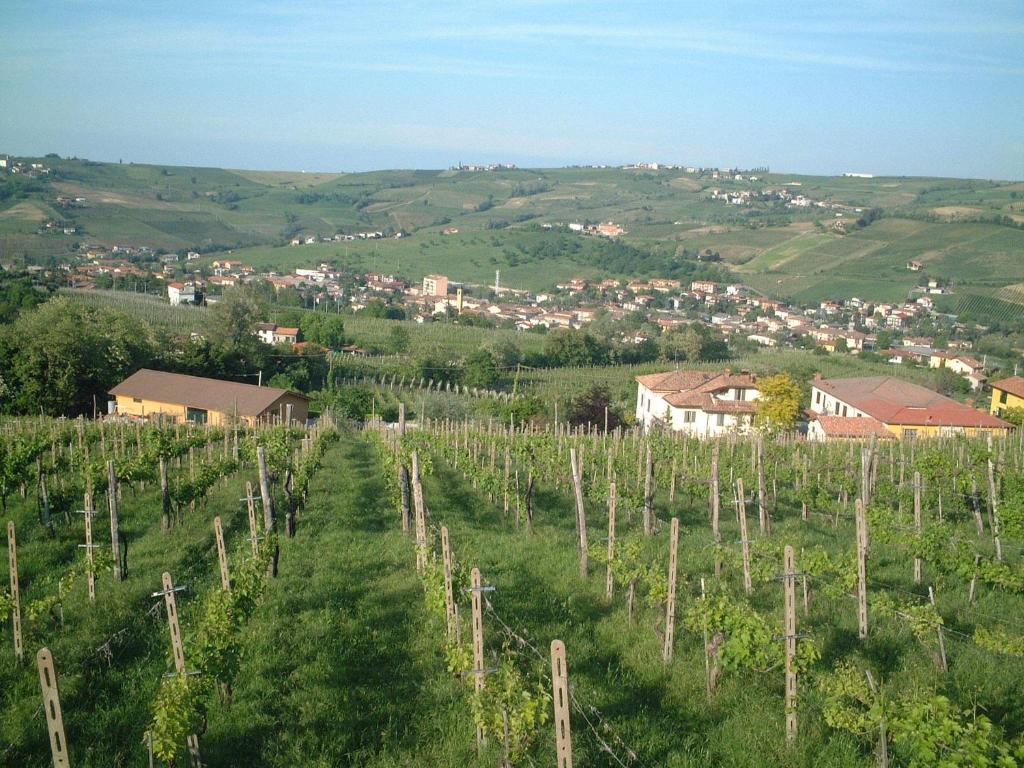 una vista de un viñedo con una ciudad en el fondo en Agriturismo Casa Re, en Santa Maria della Versa