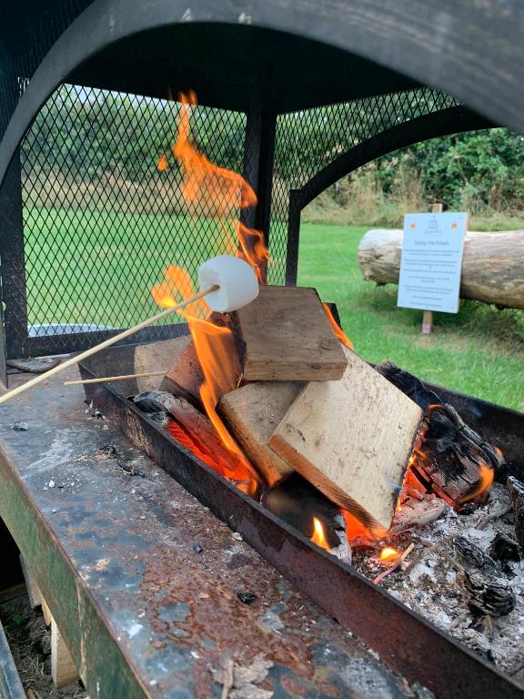 Fotografie z fotogalerie ubytování Laurel Farm Glamping v destinaci Mark