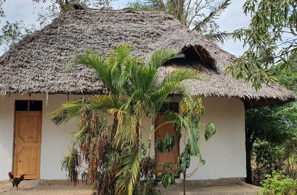 a house with a thatch roof and a palm tree at Eazy's Place in Dar es Salaam