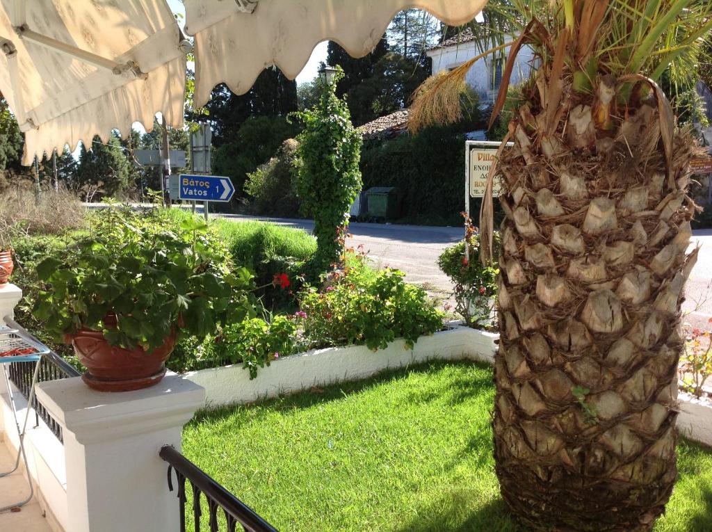 Zahrada ubytování Villa Deza