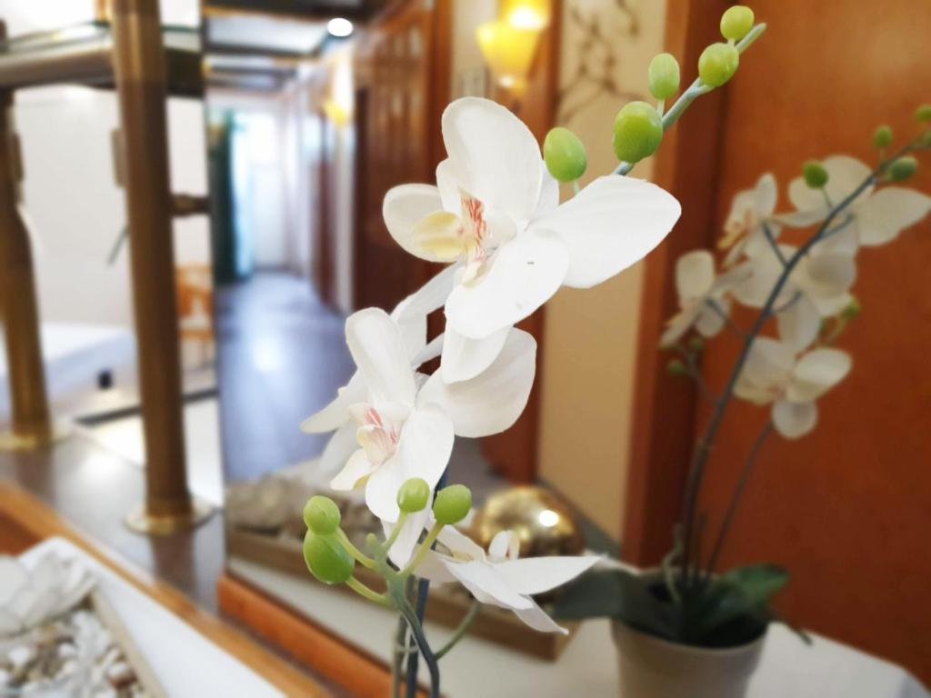 Fotografie z fotogalerie ubytování Hotel am Kurpark v destinaci Bad Wimpfen