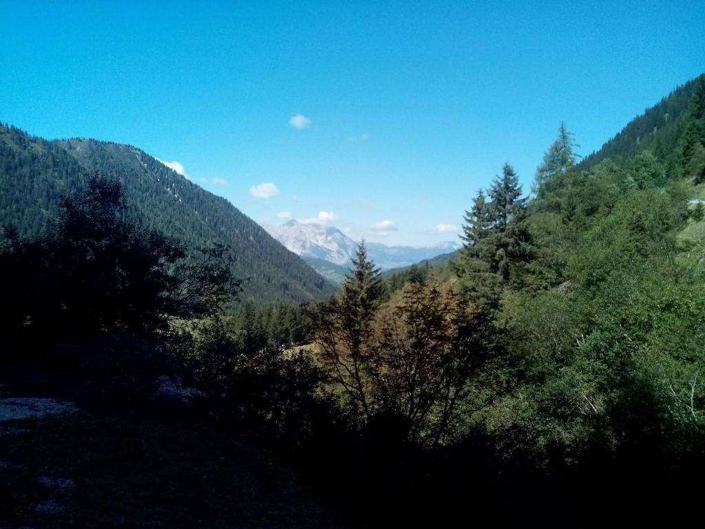 Fotografia z galérie ubytovania Gasthof Murauerhof v destinácii Sankt Peter am Kammersberg