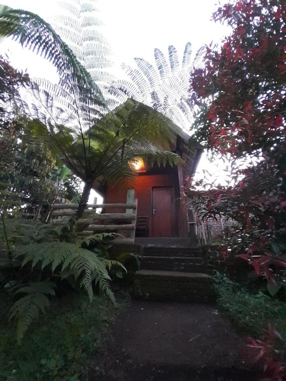 Zahrada ubytování Tetebatu Sunrise Homestay