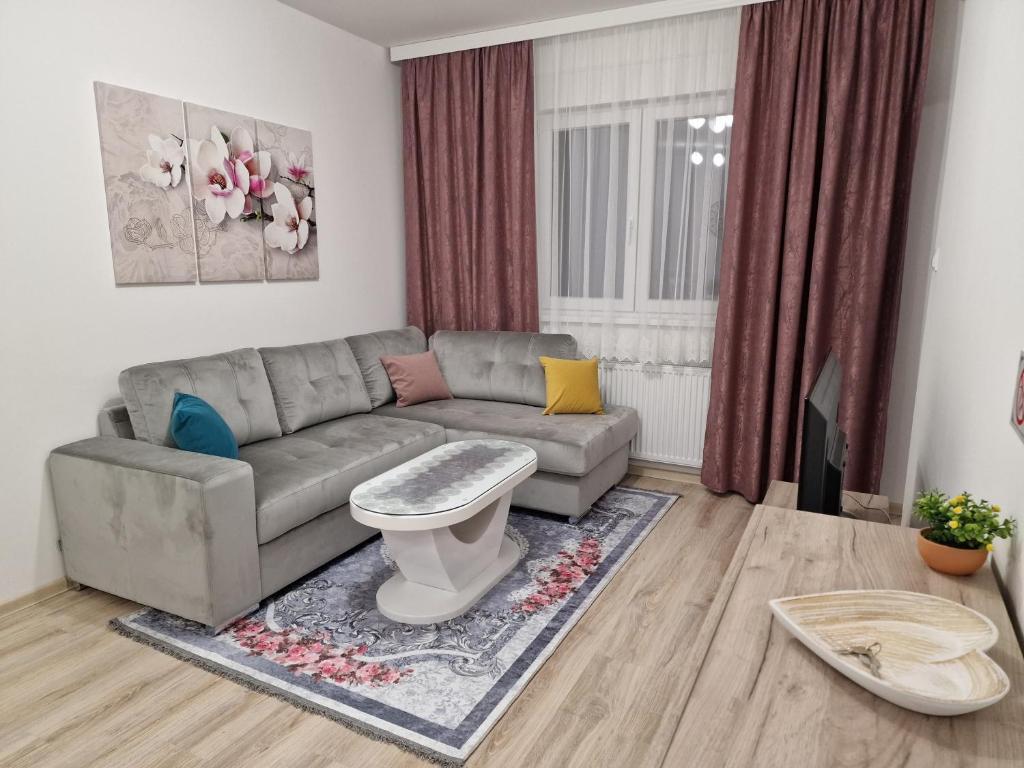 a living room with a couch and a table at Apartman Remeta in Banja Koviljača