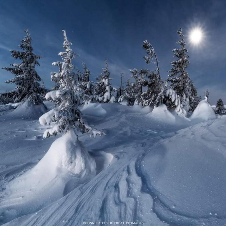 Apartament Górski Raj - 18