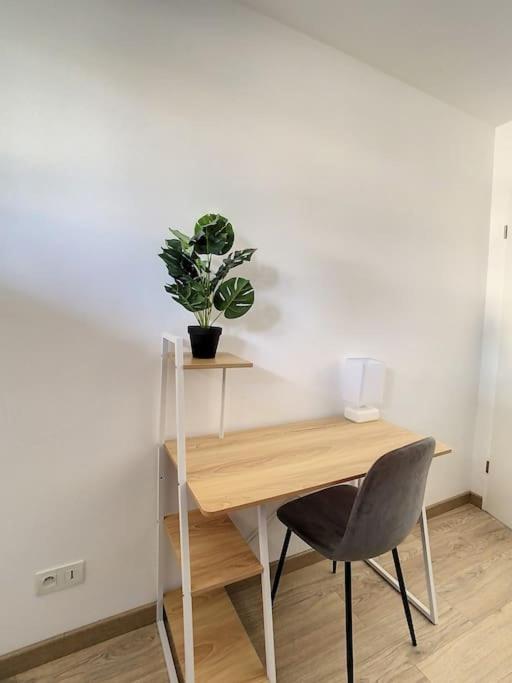 a desk with a chair and a potted plant at GRAND APPART TERRASSE PARKING DESIGN in Amiens