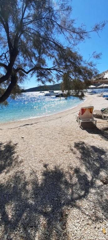 einen Strand mit einem Stuhl, einem Baum und Wasser in der Unterkunft Apartments Ana Bilota in Seget Vranjica