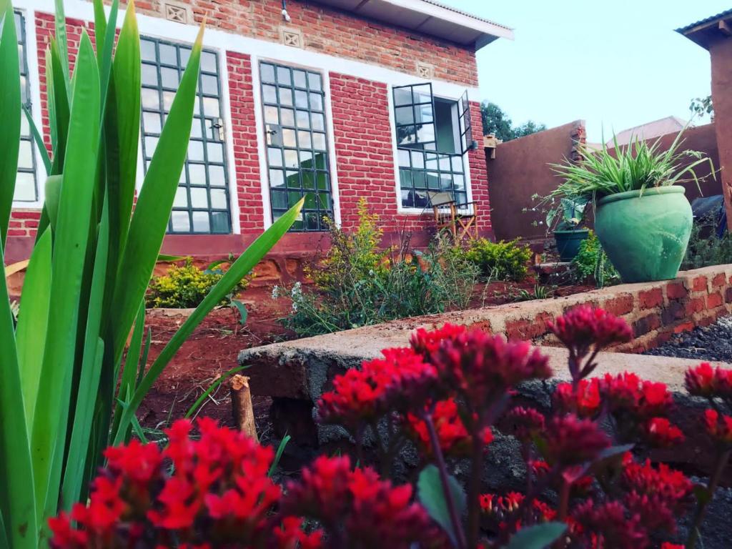 a garden with red flowers in front of a brick building at Sonofjohnhomestay in Karatu