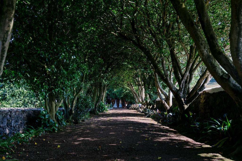 Fotografie z fotogalerie ubytování Monte Ingles v destinaci Ponta Delgada