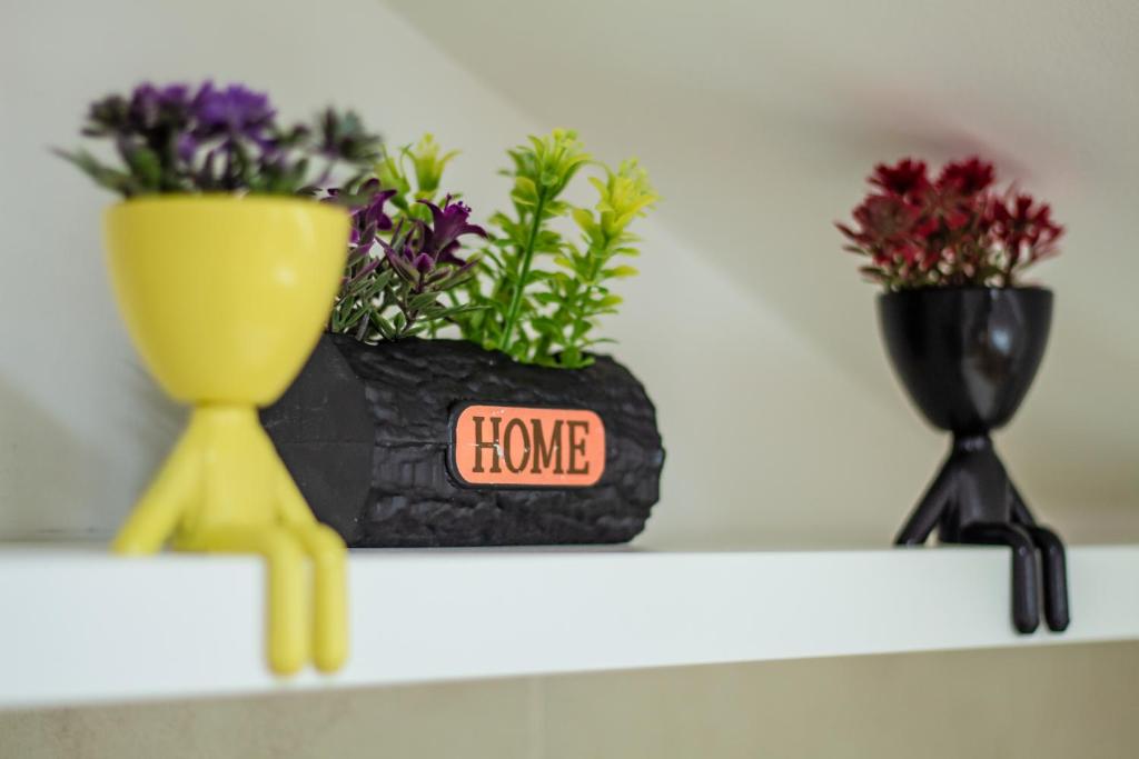 Apartman Mazić Nikšić - 17