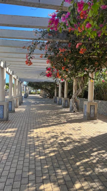 Fotografie z fotogalerie ubytování Villa Anil Meloneras v destinaci San Bartolomé