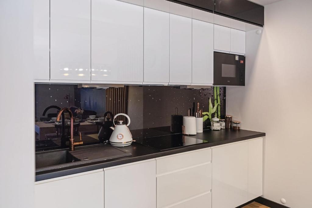 Kuchyň nebo kuchyňský kout v ubytování Apartamenty Osada Antałówka Zakopane
