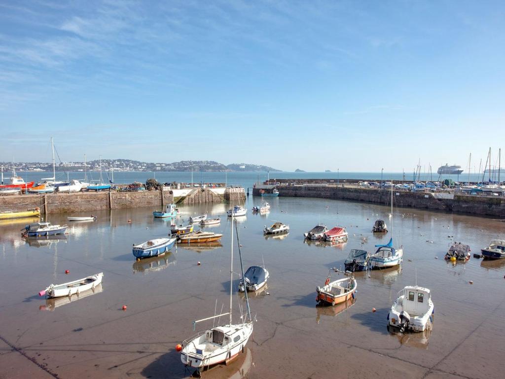 a group of boats in the water in a harbor at Herons Haven - Uk31452 in Paignton