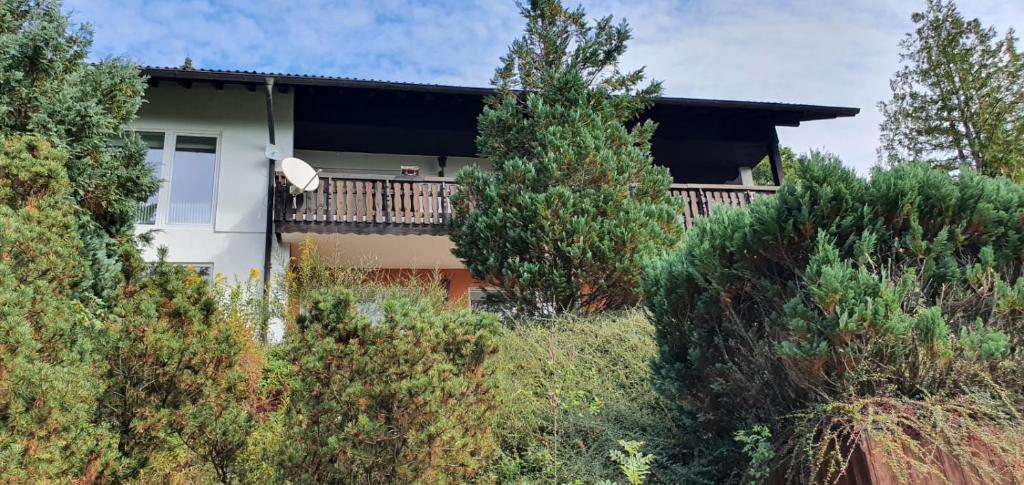 Wohnung im Schwarzwald mit Panorama Blick - Appartement Met Drie Slaapkamers