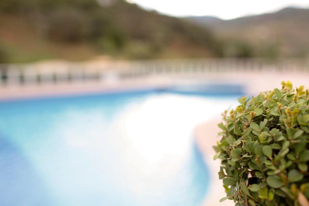  Dourada Parque Hotel