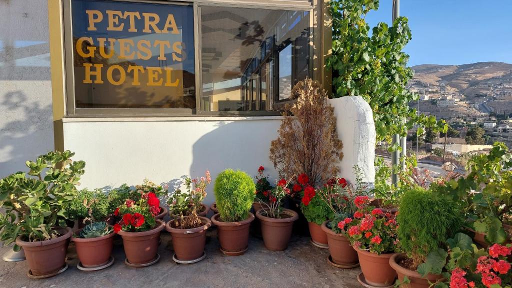 a bunch of potted plants in front of a hotel at Petra Guests Hotel in Wadi Musa