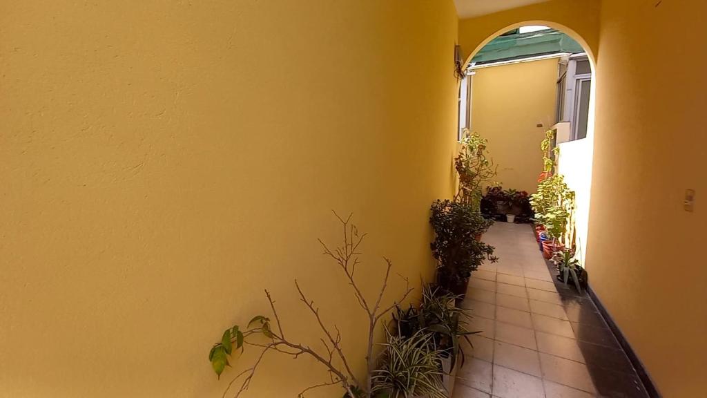 Nice Apart en Caballito. Visitá Buenos Aires - Apartment