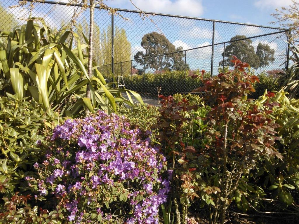 Maples on Harewood - Resim 45