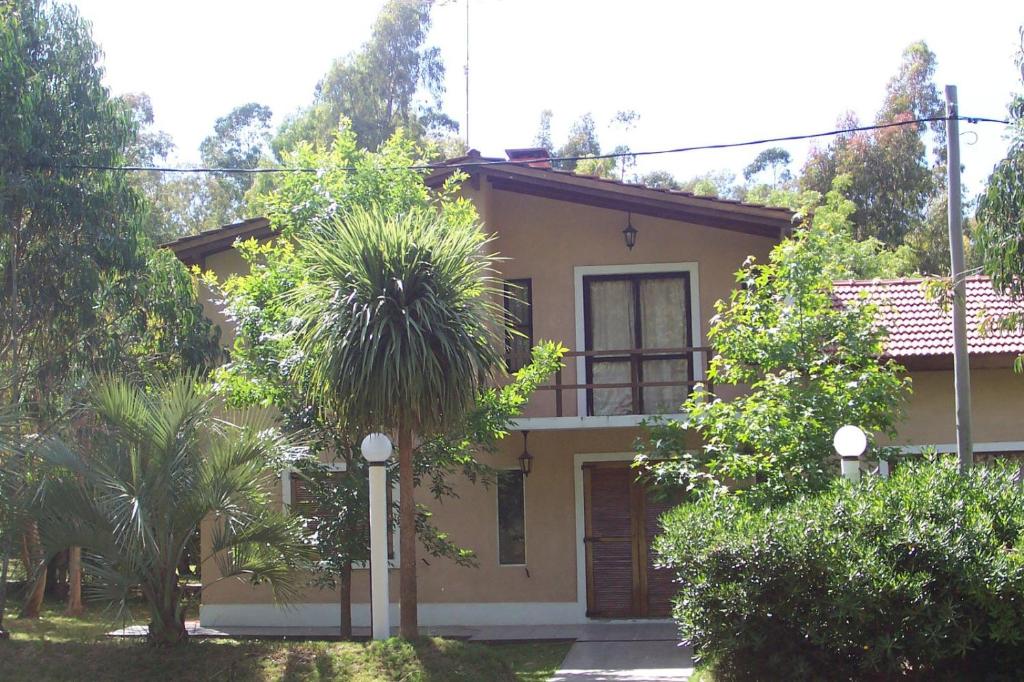 a house with a palm tree in front of it at La Posada De Gogg Apartamentos in Bella Vista