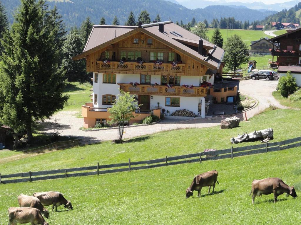 a herd of cows grazing in a field in front of a house at Ferienhof Almfrieden in Balderschwang