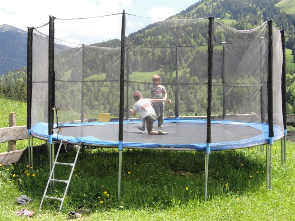 Hosté ubytování Ferienhof Almfrieden