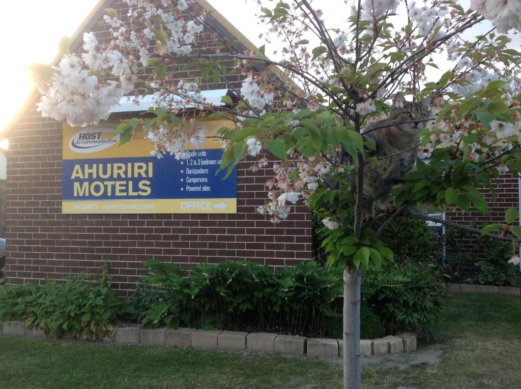 Certifikát, hodnocení, plakát nebo jiný dokument vystavený v ubytování Ahuriri Motels