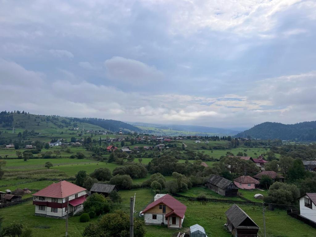 mała wioska na zielonym polu z domami w obiekcie Casa Helen Insurance&Tourism w mieście Gălăuţaş
