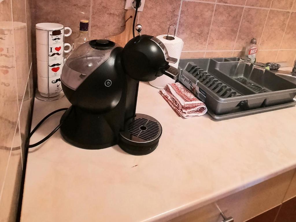 a mixer sitting on a counter next to a sink at Stan na dan u centru, Inđija in Inđija