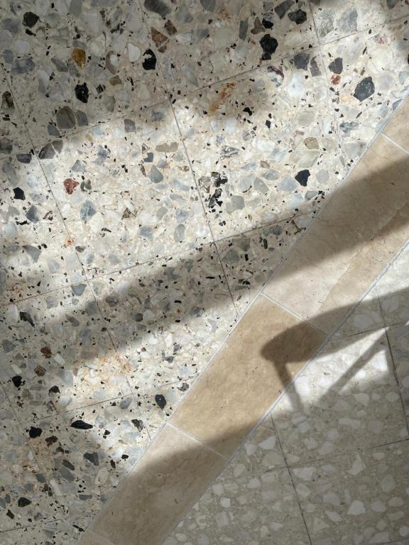 Fotografia z galérie ubytovania Le Terrazzo - appartement lumineux centre Eu v Eu