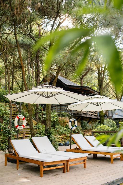 Zahrada ubytování Amaya Retreat