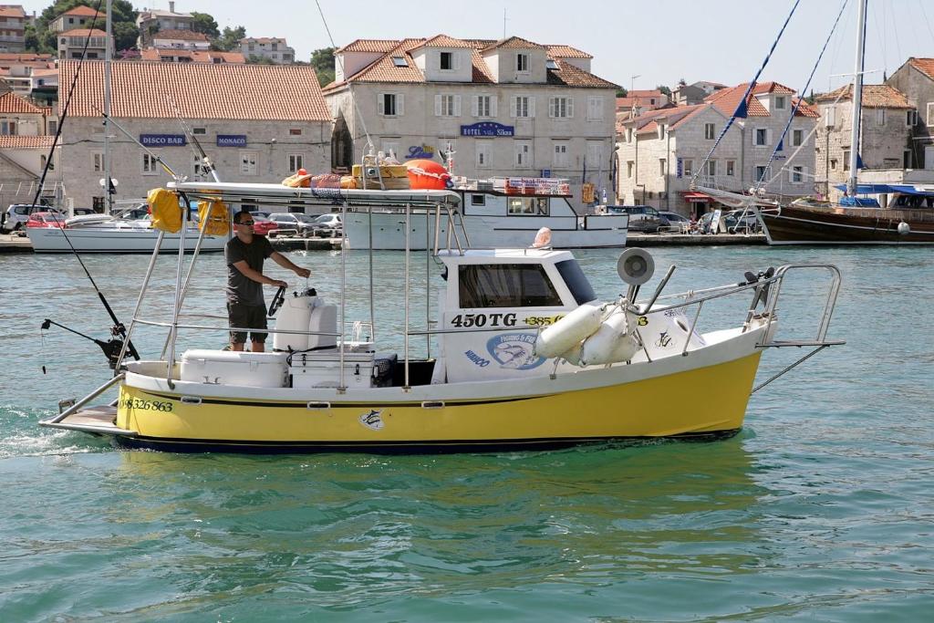 Príroda v okolí apartmánu
