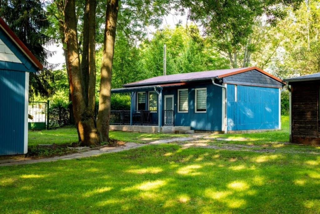 una casa azul en medio de un patio en Bungalow 02, en Sondershausen