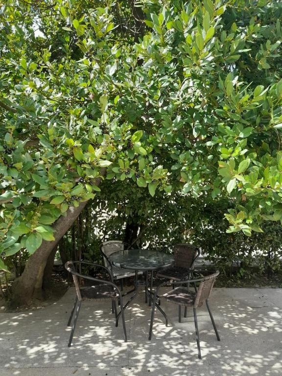 Zahrada ubytování Apartments Niković