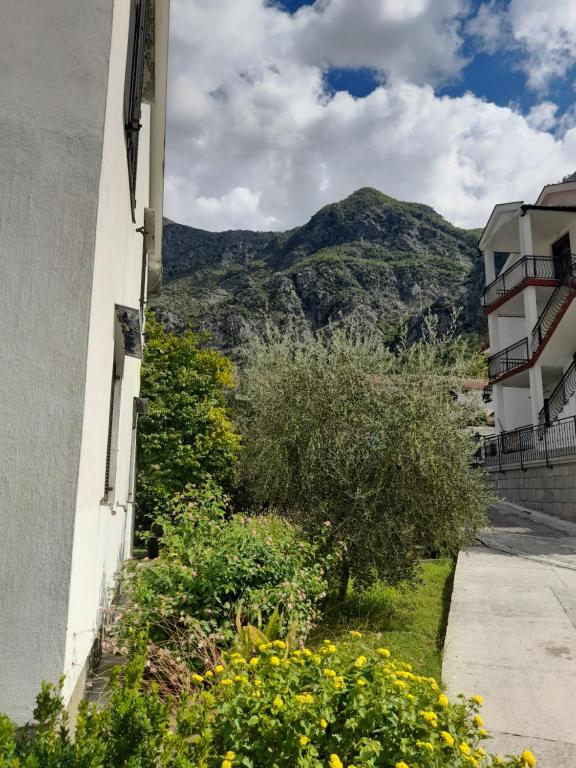 Nespecifikovaný výhled na hory nebo výhled na hory při pohledu z apartmánu