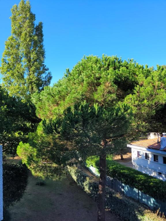 Fotografie z fotogalerie ubytování Plage de Nauzan v destinaci Vaux-sur-Mer