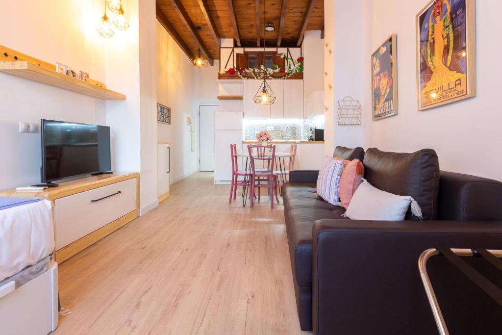 TV a/nebo společenská místnost v ubytování Fabie Triana Loft by Valcambre
