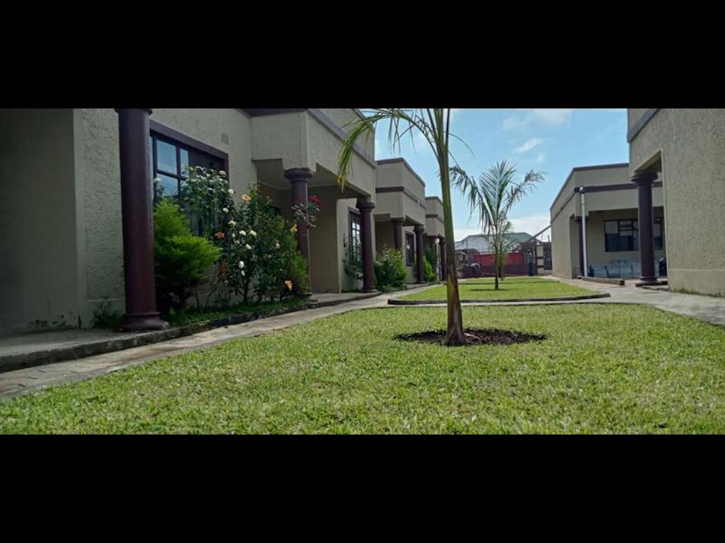 a palm tree in the middle of a lawn next to houses at Fully Furnished Apartment in Chililabombwe in Chililabombwe